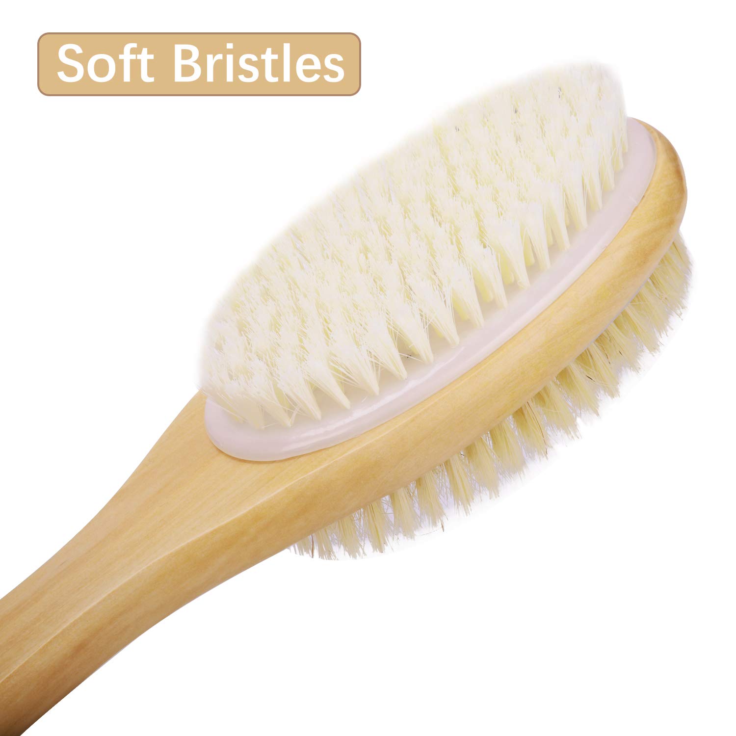 Shower Brush with Soft and Stiff Bristles, for Exfoliating Skin and A Soft Scrub, Double-sided Brush Head for Wet or Dry Brushing, Specially Long Wooden Handle Cleans the Body Easily : Beauty
