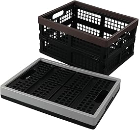 Cadine Cajas de Almacenamiento Plegables de Plástico, 2 Unidades