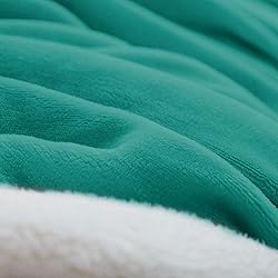 Haltune Stain-Proof Teal Blanket for Intimate