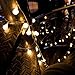 Innoo Tech 100 LED Indoor Globe String Lights Warm White for Patio Party Christmas Wedding Bedroom