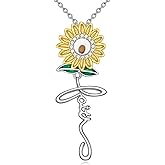 ZPMMPZ Mustard Seed Necklace Sterling Silver Faith Pendant Necklace Christian Jewelry Gift for Women Men