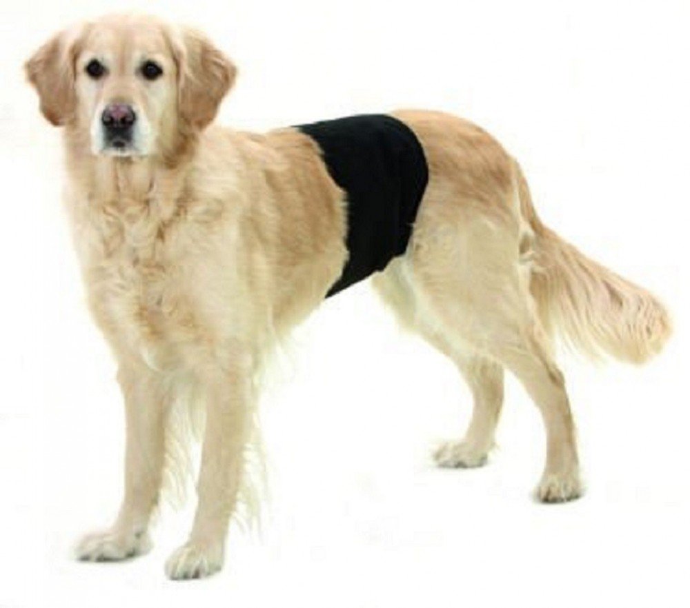 Karlie Dog Pant, 49 x 14 cm, Black