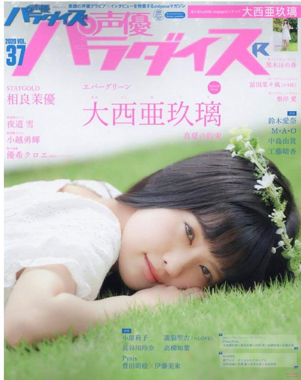 声優パラダイスr Vol 37 Akita Dx Series Amazon Com Books