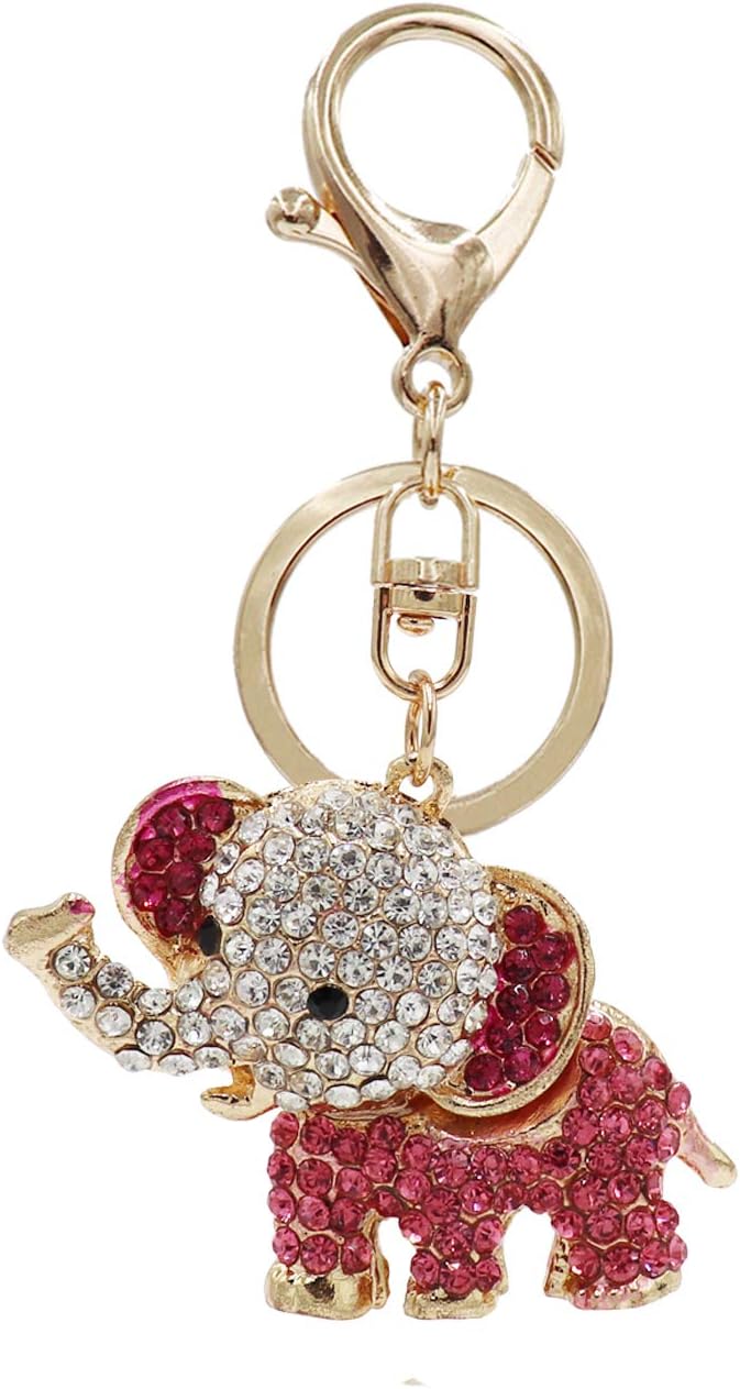 Aiphamy Keychain Purse Bag Charm Key Chain Ring for Women