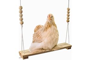 BACKYARD BARNYARD Chicken Swing Toy for Coop Handmade in USA!!! Natural Safe Wooden Accessories Large Durable Perch Ladder for Poultry Run Rooster Hens Chicks Pet Parrots Macaw Entertainment Stress Relief for Birds