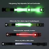 KOSKILL Light Up Dog Collar USB Rechargeable Waterproof Green M view 4