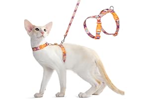 Dooradar Cat Harness and Leash, Escape Proof Adjustable Kitten Vest, Lightweight Soft Pet Straps, Easy Wearing for Small Medium Kitty Safe Walking Travel Control, Orange & Blue, S