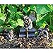 Top Collection 4386 Miniature Garden & Terrarium Fairy Reading Statue, Small, Bronze