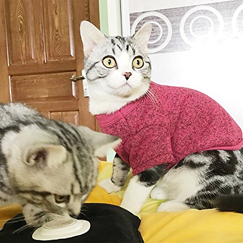 Sunward Pet Dog Clothes Soft Thickening Warm Stripe Polar Fleece Winter Clothes (L2, Red) - Thumbnail 3