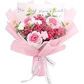 VANSIYIYI Crochet Flowers Bouquet: Completed Handmade Knitted Rose Dried Natural Gypsophila Baby's Breath Flowers for Home Decor Graduation Birthday (Pink)