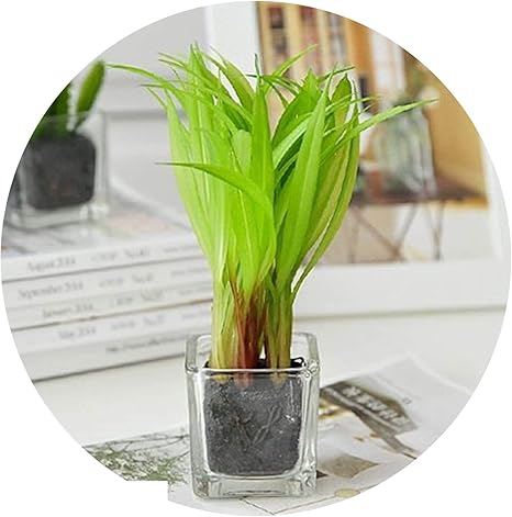 Amazon 韓国ホームデコレーション ミニ盆栽 人工植物 グリーンウィート 苗木 ガラス ミニ鉢 人工多肉植物 ガーデンデコレーション Wheat Sb 122 人工観葉植物 オンライン通販