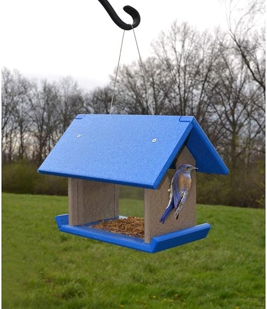 Amazon Com Songbird Essentials Mealworm Feeder Blue Grey