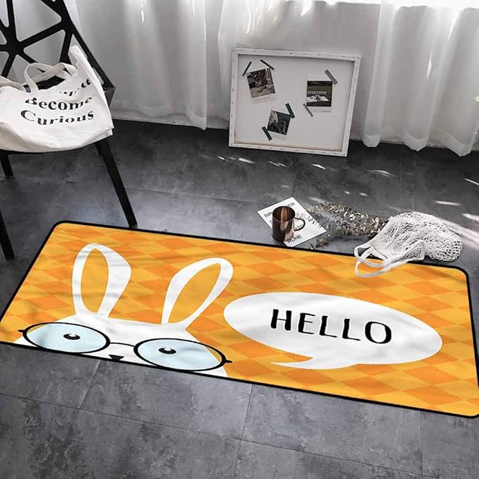 Rabbit Floor Rug mats Big Spectacle Glass Easter 30x48 Inch