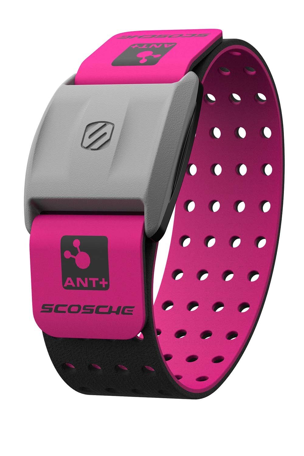 heart rate bands