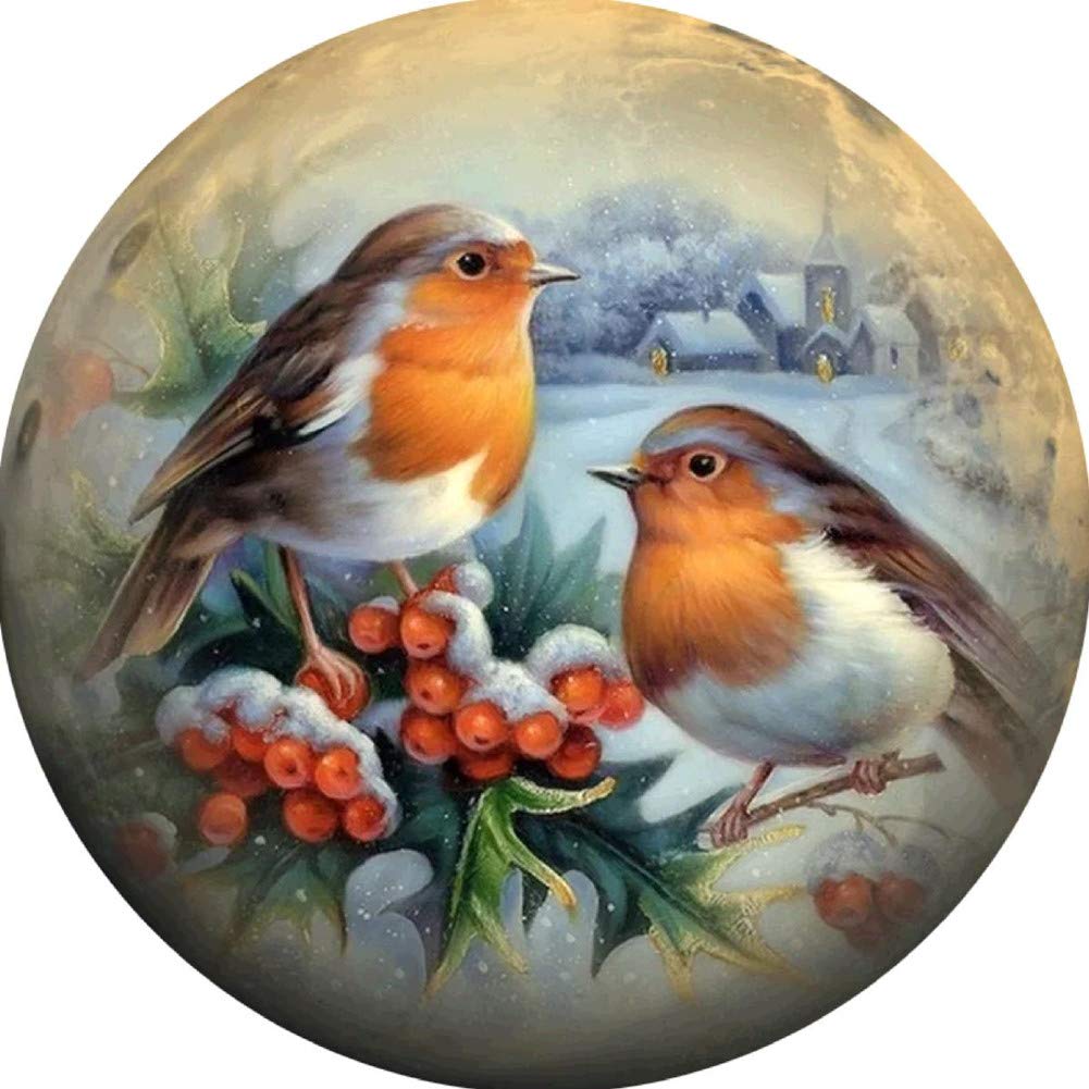 Awesocrafts Cross Stitch Stamped Kits Birds Snow Scene Easy Patterns Cross Stitching Embroidery Needlework Kit Supplies (Snow)