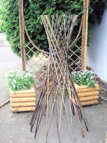 Master Garden Products Willow Funnel Trellis, 36-Inch by Master Garden Products