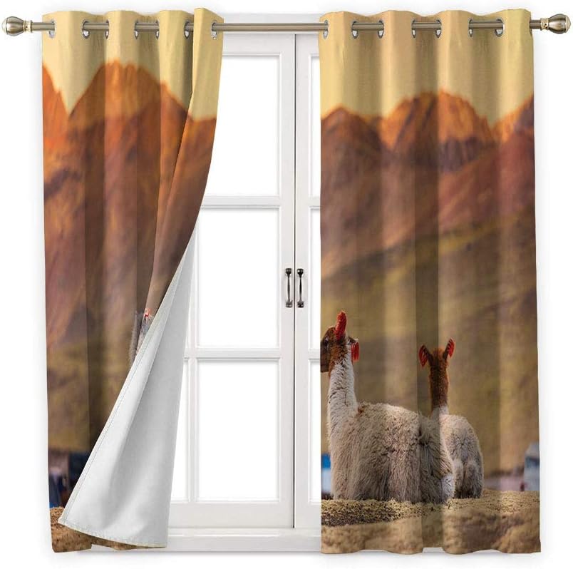 Amazon Com Mozenou Argentina Grommet Darkening Blackout Chilling