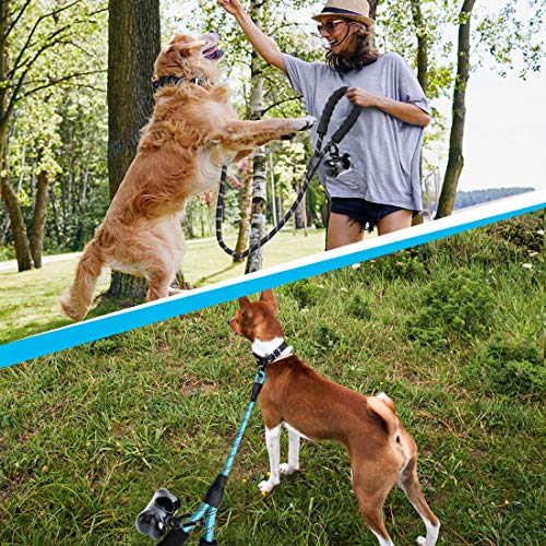 Doyoo 5 FT Strong Dog Leash with Comfortable Padded Handle and Highly Reflective Threads Dog Leashes for Medium and Large Dogs