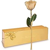 Forever Rose Real White Rose Dipped in 24K Gold with Gold-Trimmed Petals and Stem, Handcrafted Preserved Rose in Luxury Gift Box, Romantic Gift for Her