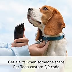 Ring Pet Tag | Easy-to-use tag with QR code
