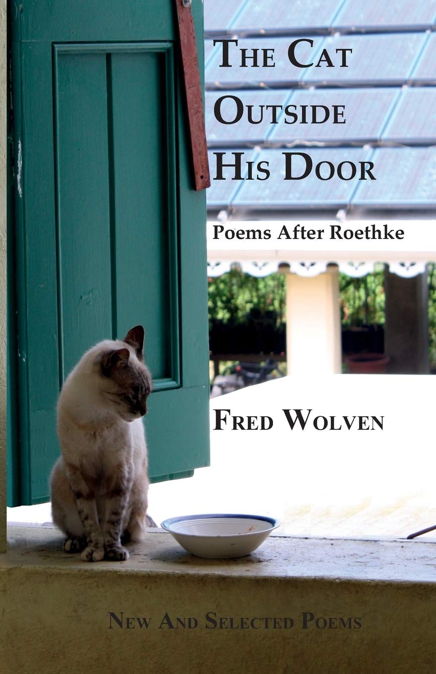 cat outside door