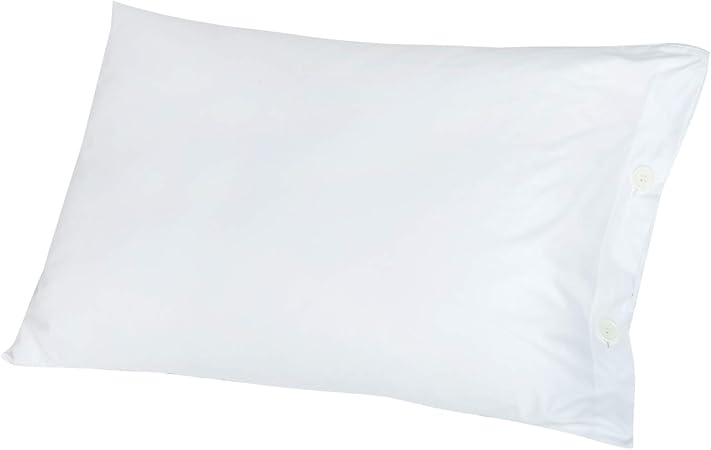 Jasmine Silk 100 Mulberry Silk Filled Pillow Non Allergenic