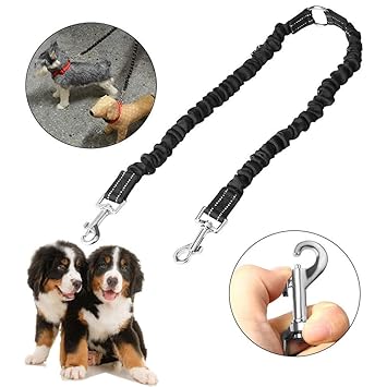 double leads for 2 dogs