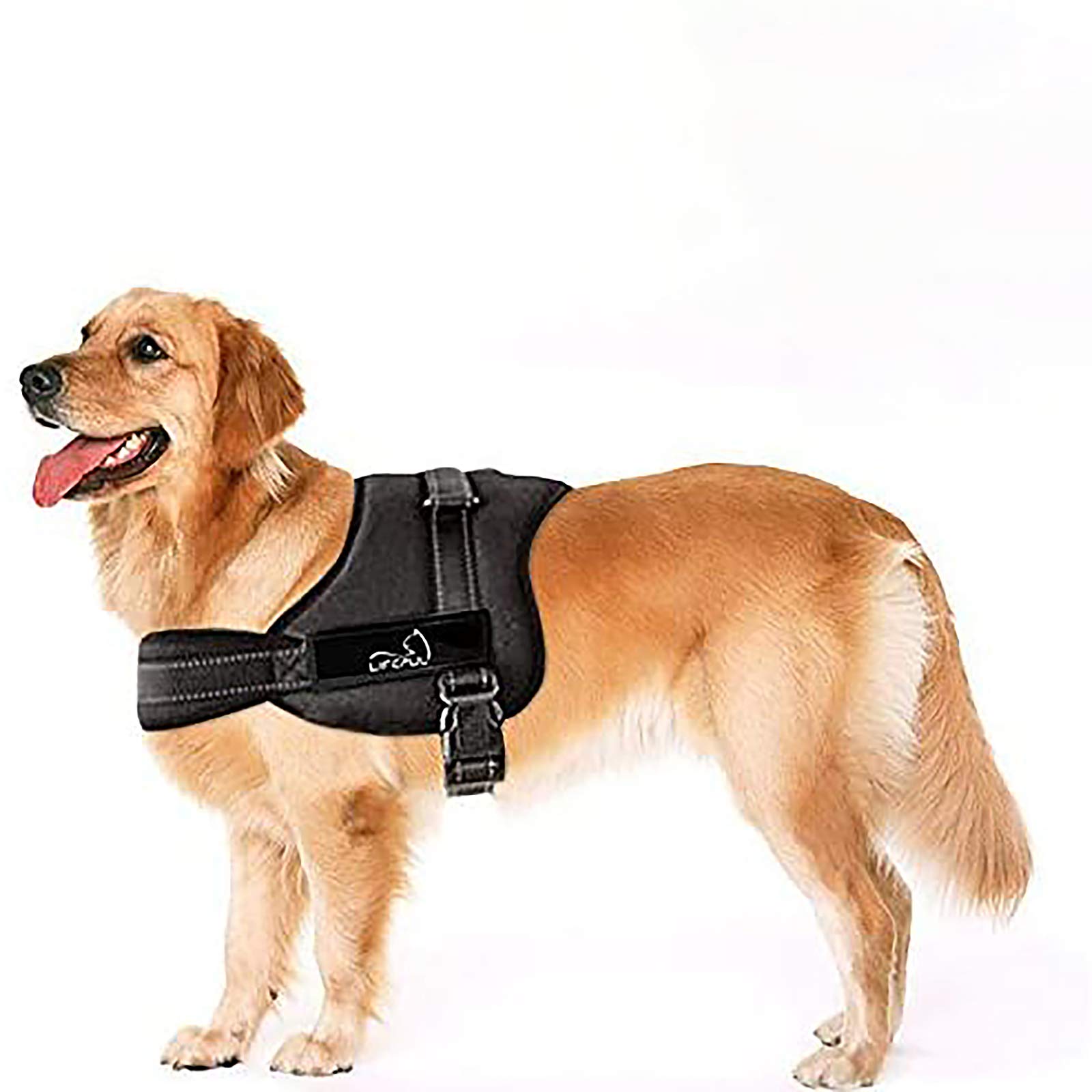 LIFEPUL CBROSEY Harness