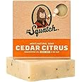 Dr. Squatch DISCONTINUED All Natural Bar Soap for Men with Zero Grit, Cedar Citrus