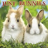 Just Bunnies 2018 Calendar by 