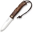 Joker ARTICA 155 folding knife with different handles, 3.14in blade. 14c28n, Scandi grind, fishing, hunting, camping and hiking tool (Walnut Handle)