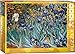 EuroGraphics Irises by Vincent Van Gogh Puzzle (1000-Piece) (6000-4364)
