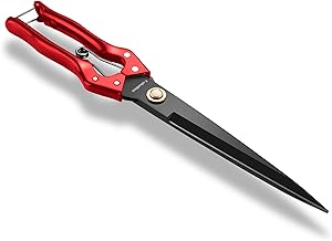 Galadim Hand Shears for Gardening or Sheep Shearing - Manganese Stainless Steel Topiary/Hedge Scissors for Pruning GD-010-Q