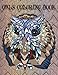 Owls Coloring Book: Wonderful Owls Coloring Book For Adults Kids Zen Boys Girls And Doodle Design (V by Copter Publishing