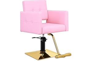 Dangvivi Styling Chair for Hair Stylist,Wide Seat Hydraulic Hair Salon Barber Chair, 360° Swivel,Beauty Spa Cosmetology Shampoo Hairdressing Braiding Tattoo Armchair for Women Men