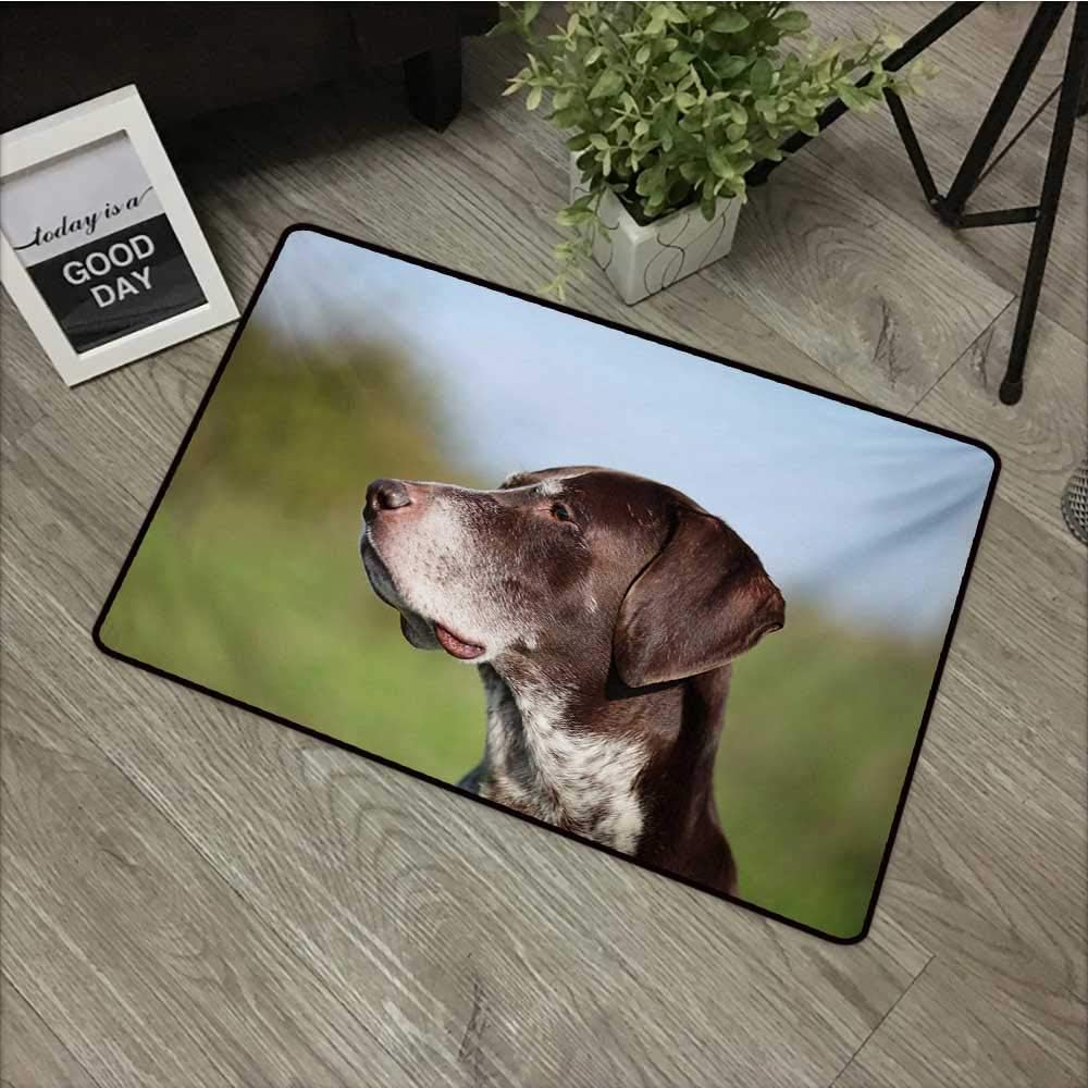 Outdoor door mat W35 x L59 INCH Hunting,German Short Haired Pointer in Wilderness Portrait Photograph Kurzhaar Pet Dog,Multicolor Natural dye printing to protect your baby's skin Non-slip Door Mat Car