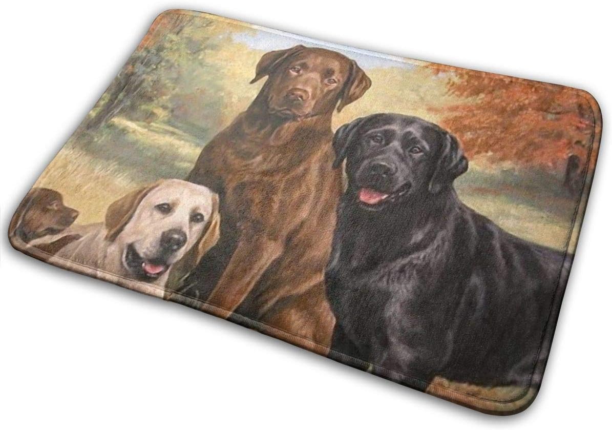 Molelanki Home Decorative Entrance Door Mat, Lovely Labrador Retriever