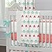 Carousel Designs Coral and Teal Arrow 3-Piece Crib Bedding Set