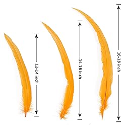 THARAHT 50PCS Rooster Coque Tail Feathers Bulk