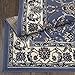 Home Dynamix Muse Traditional Area Rug, 3x5 Blue/White/Black