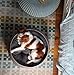 Keter by Curver Knit Cozy Resin Plastic Pet Bed, Cat Bed & Dog Bed with Cushion, Small Dogs to Medium Cats, Sandy Beige
