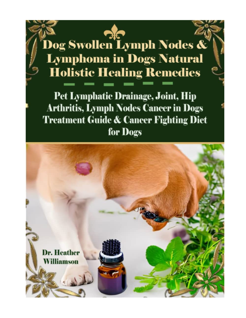 Mua Dog Swollen Lymph Nodes & Lymphoma in Dogs Natural Holistic Healing Remedies Pet Lymphatic