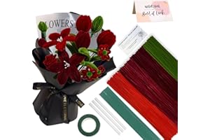 AHAMETON 216 pcs Red Plum OliveGreen Pipe Cleaners Set with Floral Wires & Gardening Tape, Chenille Stems Pipecleaners for Tulip Bouquet Making,Kids DIY Craft Projects and Decorations