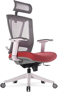 Autonomous Premium Ergonomic Office Chair for Computer or Gaming, with Wheels, Lumbar Support, Adjustable Seat, Headrest, and Armrests, Mesh Back, Medium, Red - Grey