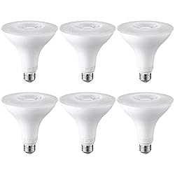 TORCHSTAR PAR38 LED Flood Light Outdoor