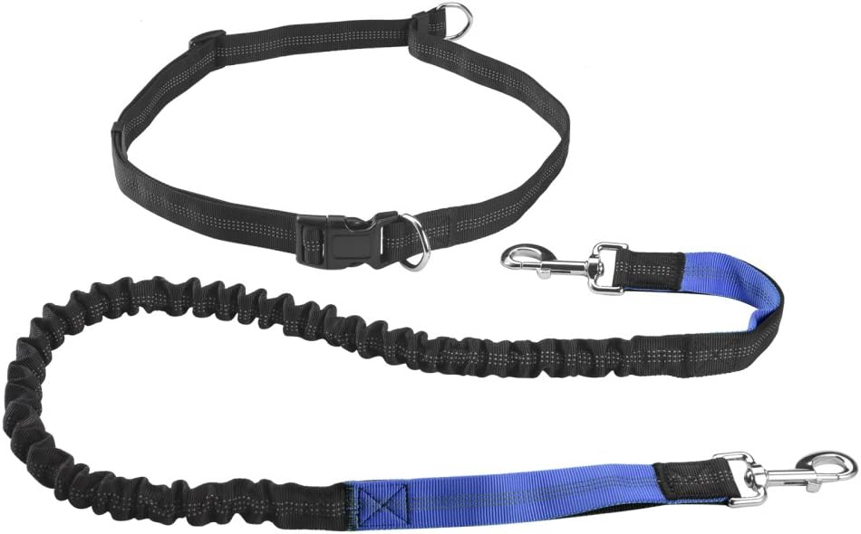 Hands Free Dog Leash - KiddyWoof Dog Lead Dog walking Belt Training Lead Dual Bungees Up to 150lbs for All Size Dogs with Adjustable Waist Belt for Outdoor Running Walking Jogging Hiking (Black and Blue)