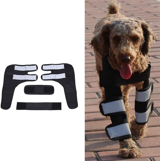 dog hip brace amazon