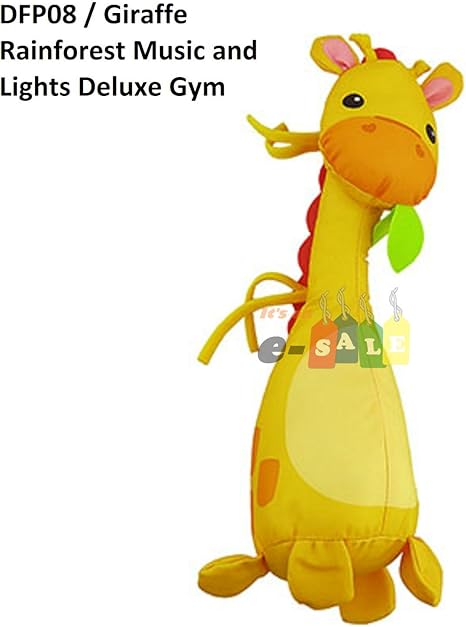 rainforest music & lights deluxe gym