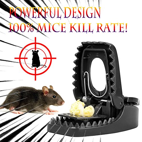 Best Mouse Trap for Mice Quick Kill & Super Sensitive Device 100