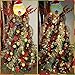 iPEGTOP Delicate Painting & Glittering Shatterproof Christmas Ball Ornaments - 30ct 60mm/2.4